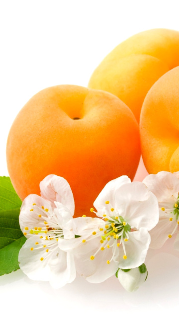Обои Apricot Fruit 360x640