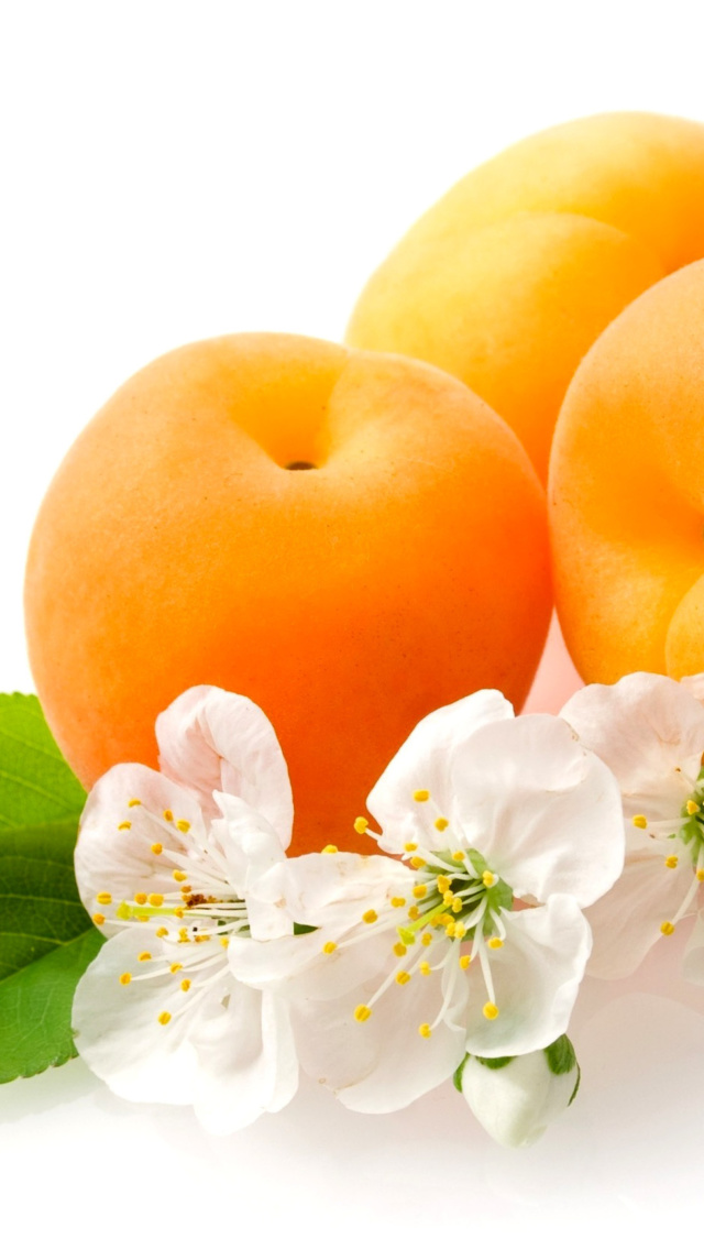 Sfondi Apricot Fruit 640x1136