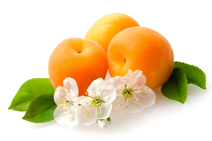 Das Apricot Fruit Wallpaper