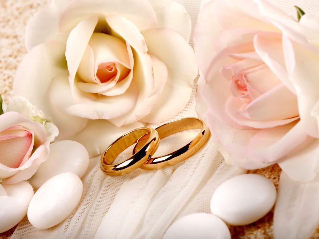 Обои Roses and Wedding Rings 1024x768