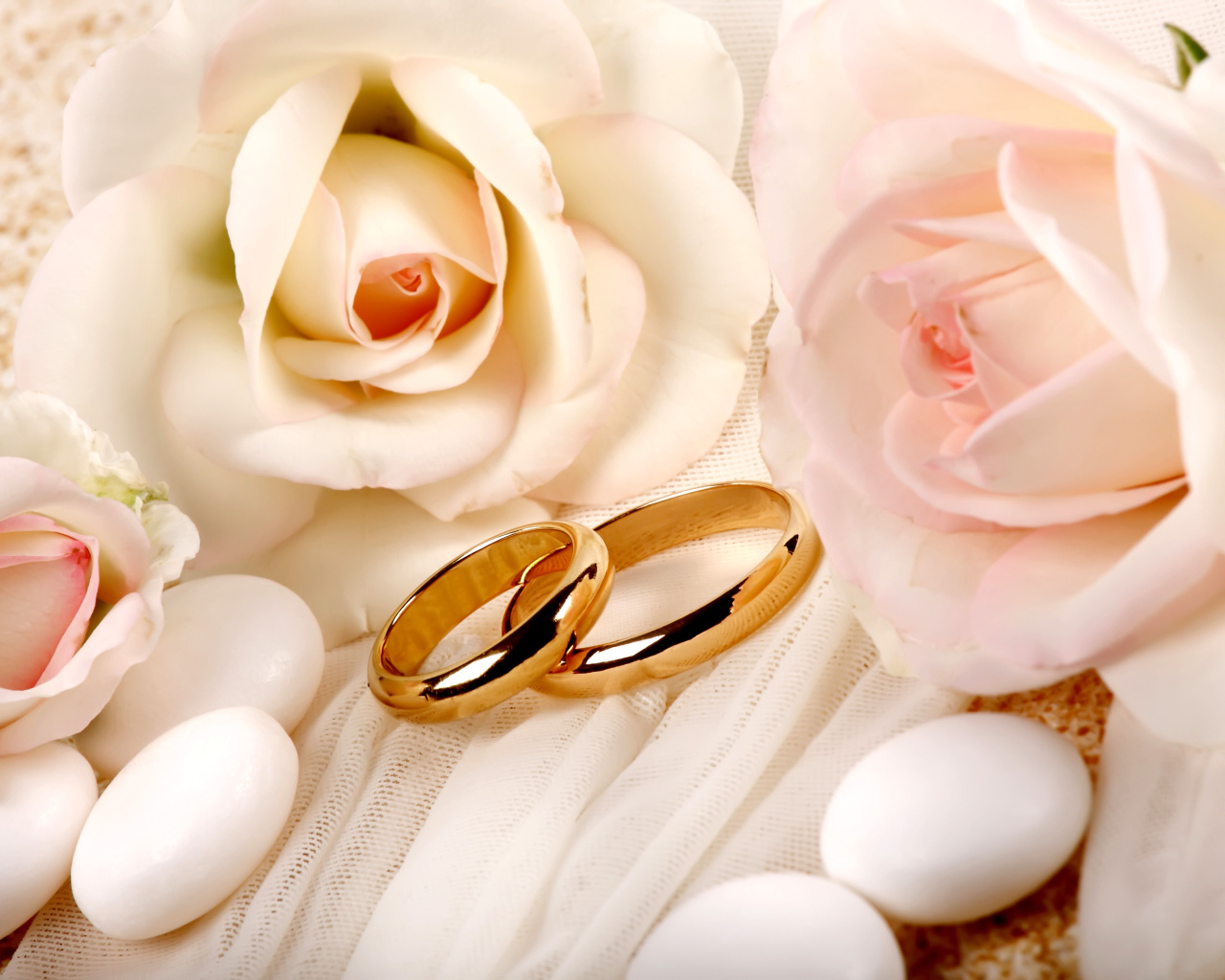 Fondo de pantalla Roses and Wedding Rings 1280x1024