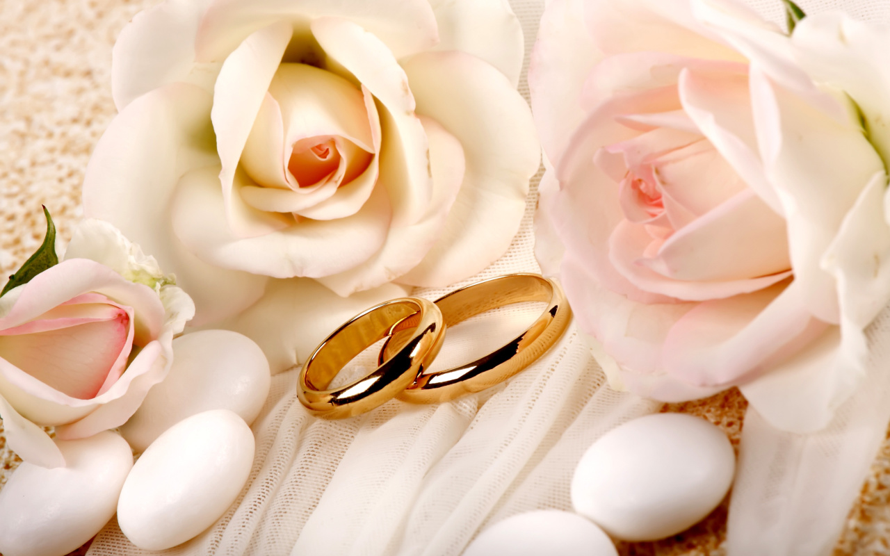 Das Roses and Wedding Rings Wallpaper 1280x800