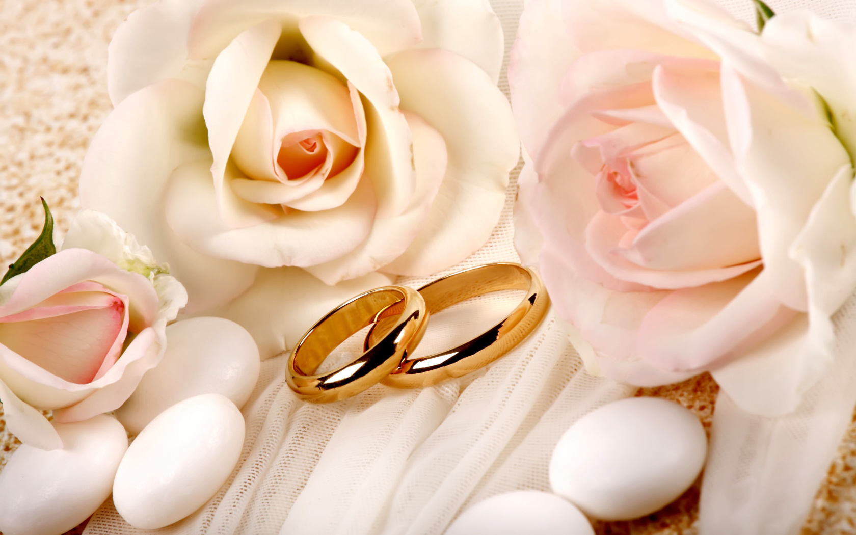 Das Roses and Wedding Rings Wallpaper 1680x1050
