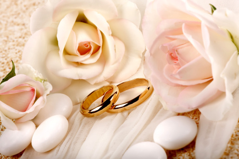 Fondo de pantalla Roses and Wedding Rings 480x320