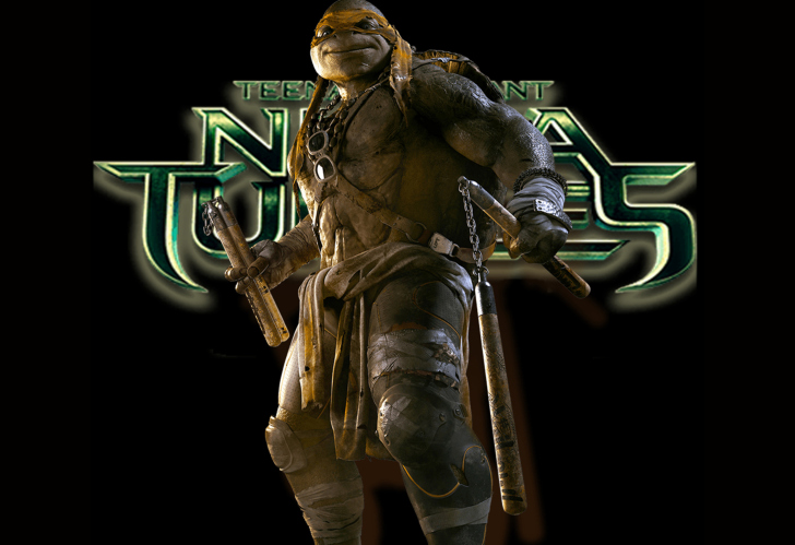 Das TMNT 2014 Michelangelo Wallpaper