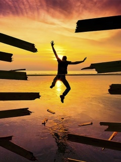 Sfondi Sunset Jump 240x320