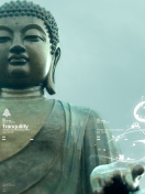 Abstract Buddha screenshot #1 132x176