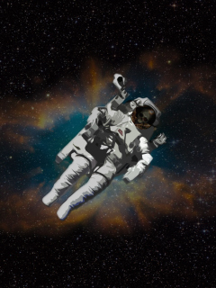Das Skull Of Astronaut In Space Wallpaper 240x320