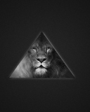 Sfondi Lion's Black And White Triangle 128x160