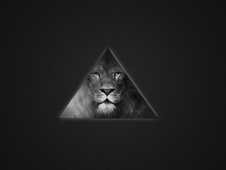 Sfondi Lion's Black And White Triangle 320x240