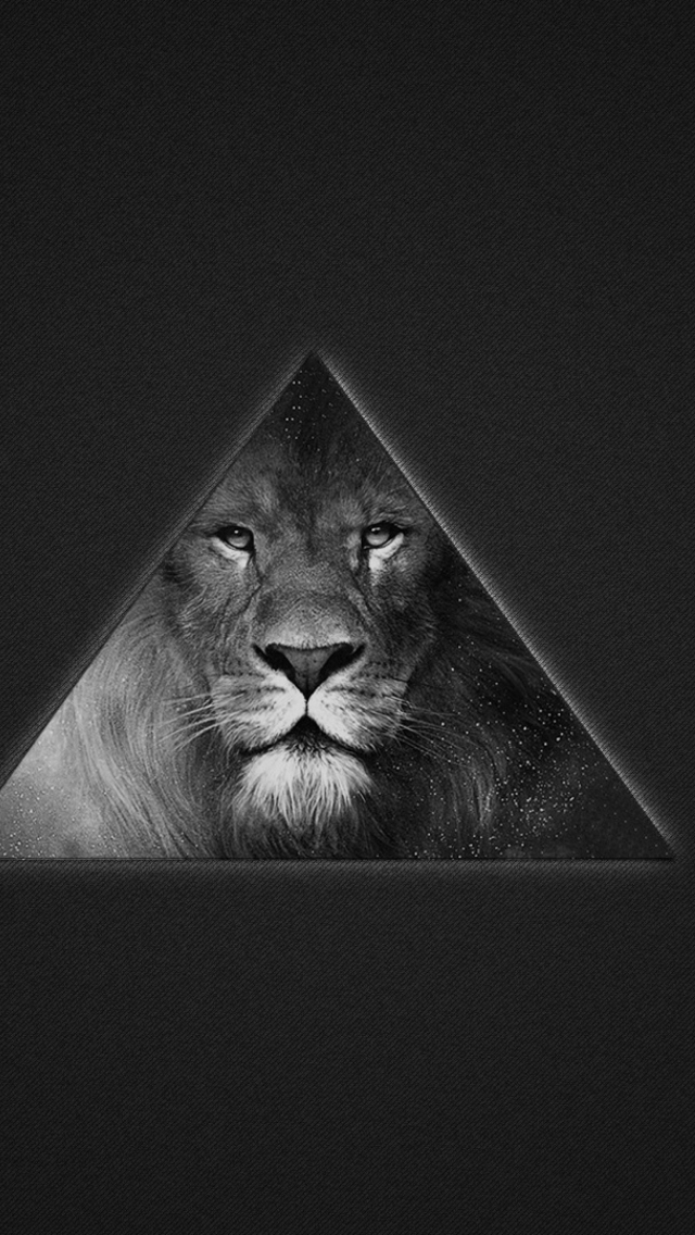Lion's Black And White Triangle wallpaper 640x1136