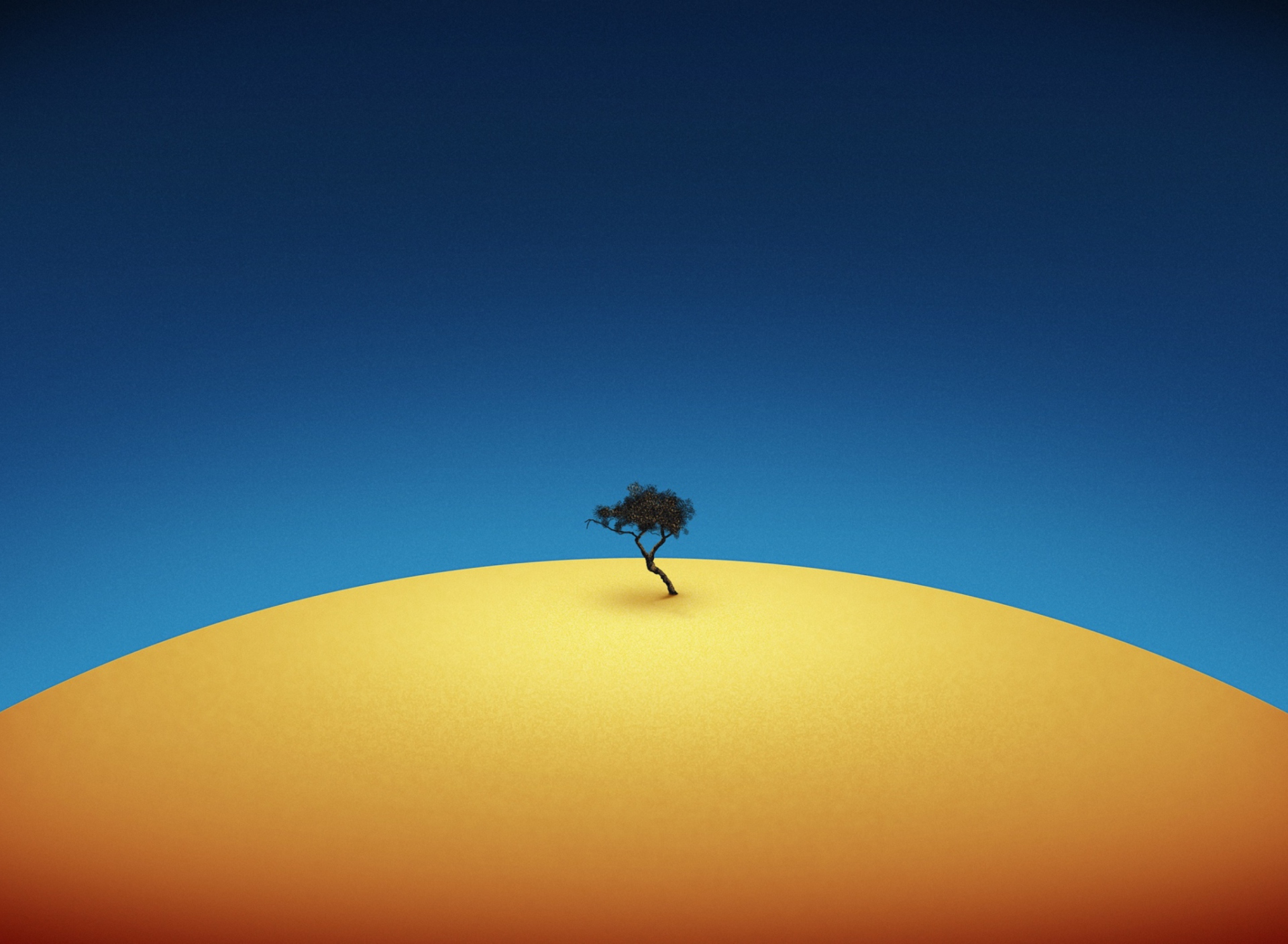 Обои Lonely Tree 1920x1408