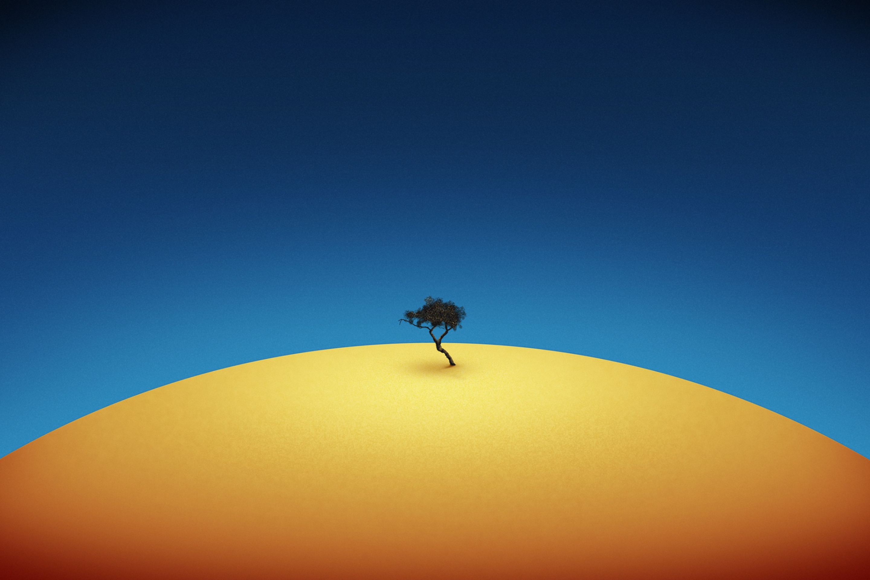 Lonely Tree wallpaper 2880x1920