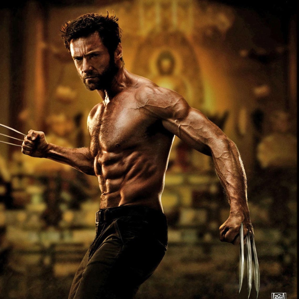 Das The Wolverine 2013 Movie Wallpaper 1024x1024
