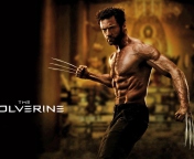 Das The Wolverine 2013 Movie Wallpaper 176x144