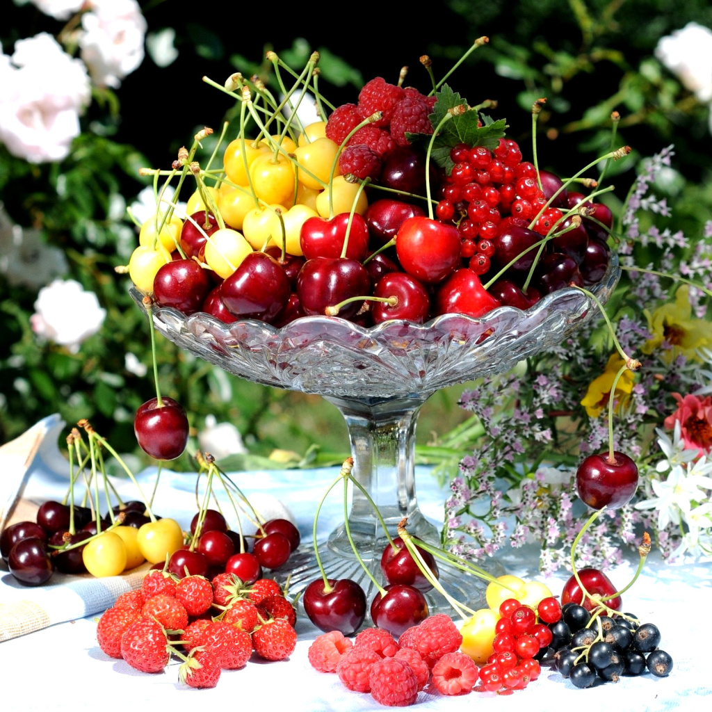 Summer berries and harvest wallpaper 1024x1024