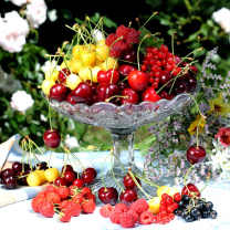 Fondo de pantalla Summer berries and harvest 208x208