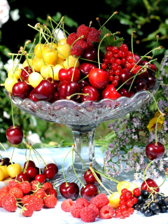 Fondo de pantalla Summer berries and harvest 240x320