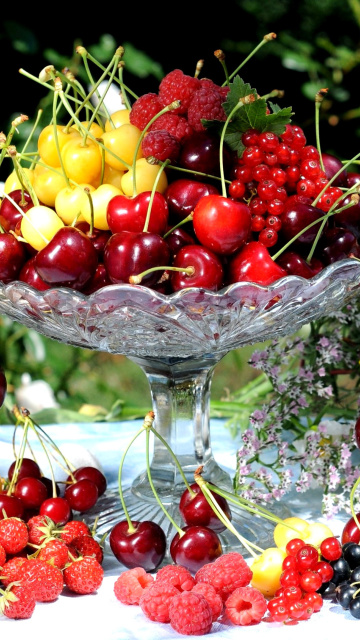 Sfondi Summer berries and harvest 360x640