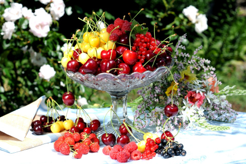 Обои Summer berries and harvest 480x320