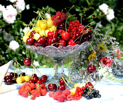 Das Summer berries and harvest Wallpaper 480x400