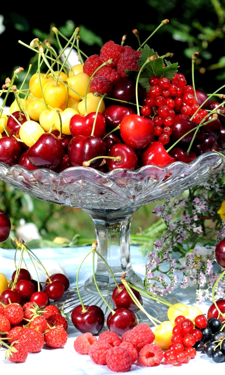 Fondo de pantalla Summer berries and harvest 768x1280