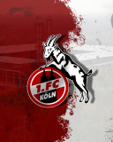 Das 1.  FC Koln Wallpaper 128x160