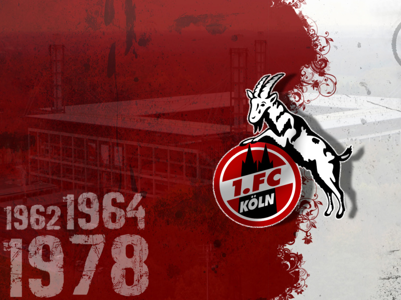 Fondo de pantalla 1.  FC Koln 800x600