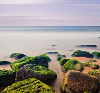 Stones Near Sea - Obrázkek zdarma pro iPad mini