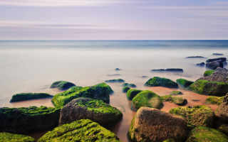 Stones Near Sea Picture for Android, iPhone and iPad