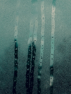 Das Steamy Window Wallpaper 240x320