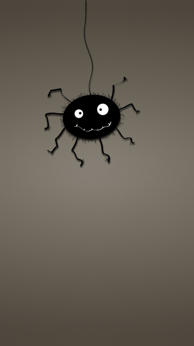 Das Funny Spider Wallpaper 640x1136