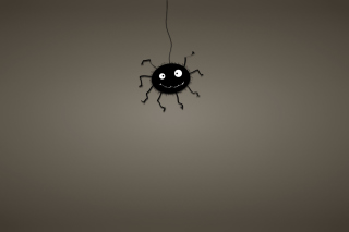 Funny Spider Wallpaper for Android, iPhone and iPad