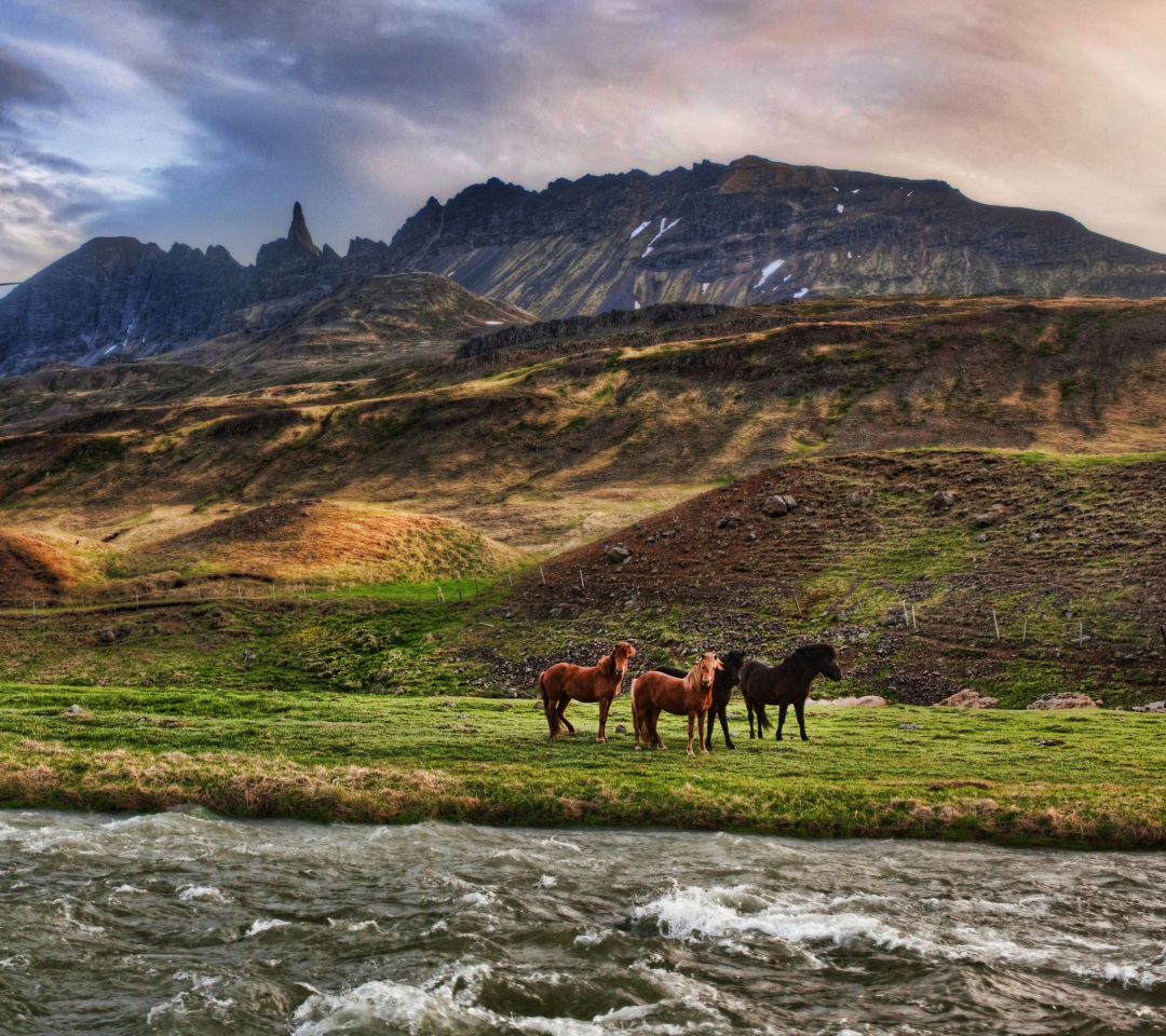 Обои Landscape In Iceland And Horses 1080x960