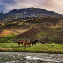 Das Landscape In Iceland And Horses Wallpaper 128x128