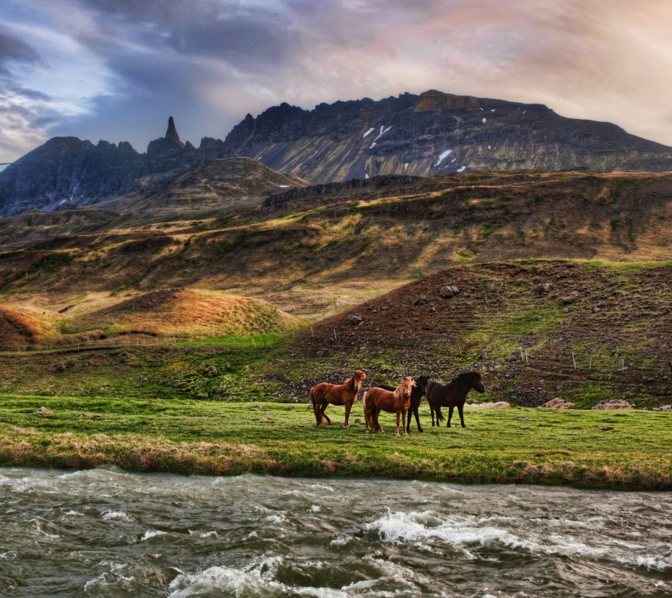 Fondo de pantalla Landscape In Iceland And Horses 960x854