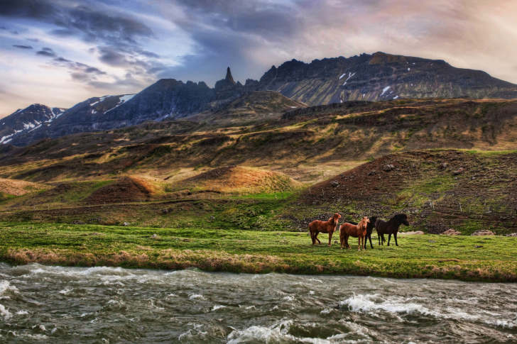 Sfondi Landscape In Iceland And Horses
