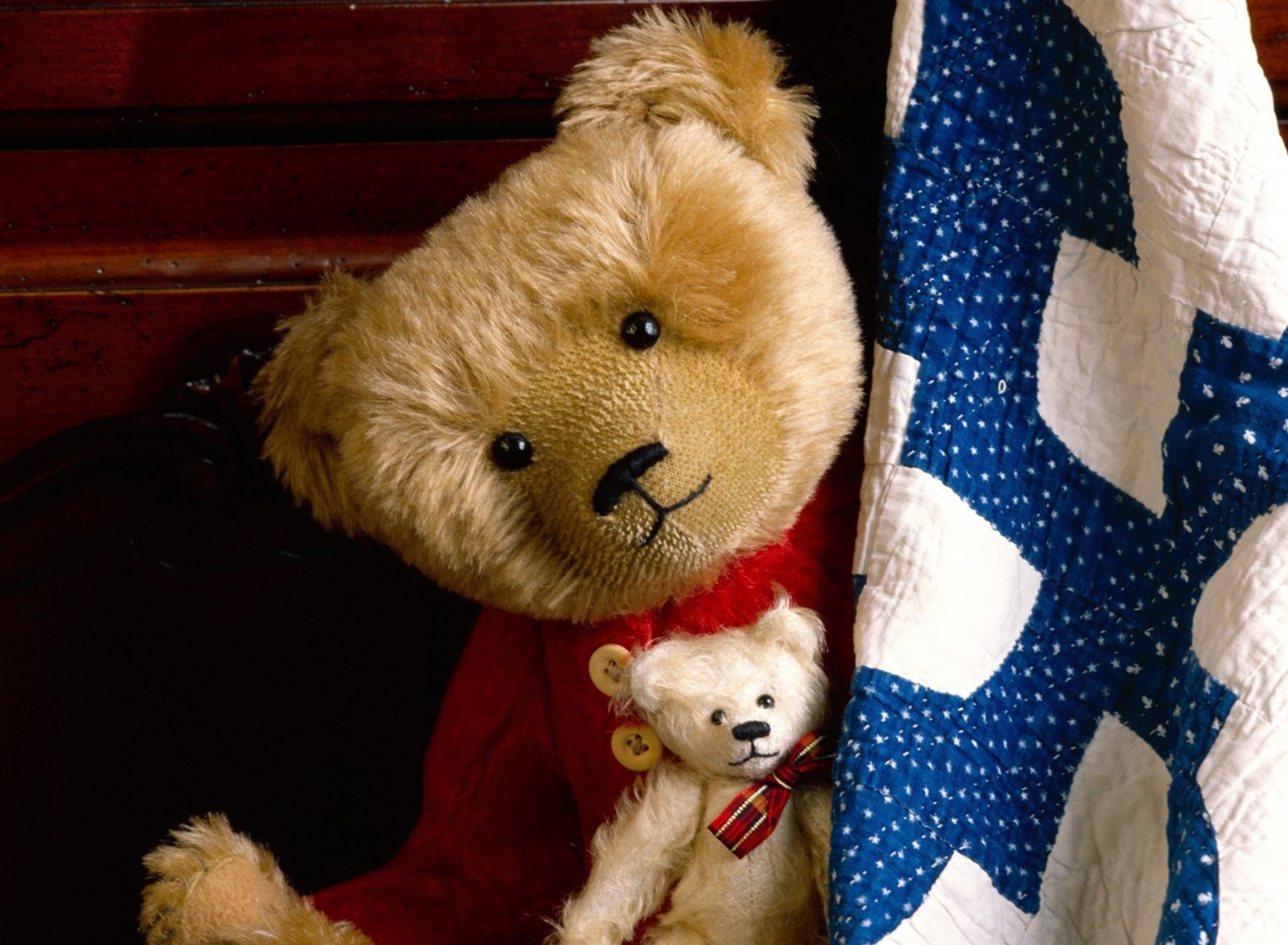 Sfondi Teddy Smile 1920x1408