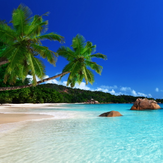 Turks and Caicos Islands Coast sfondi gratuiti per iPad mini