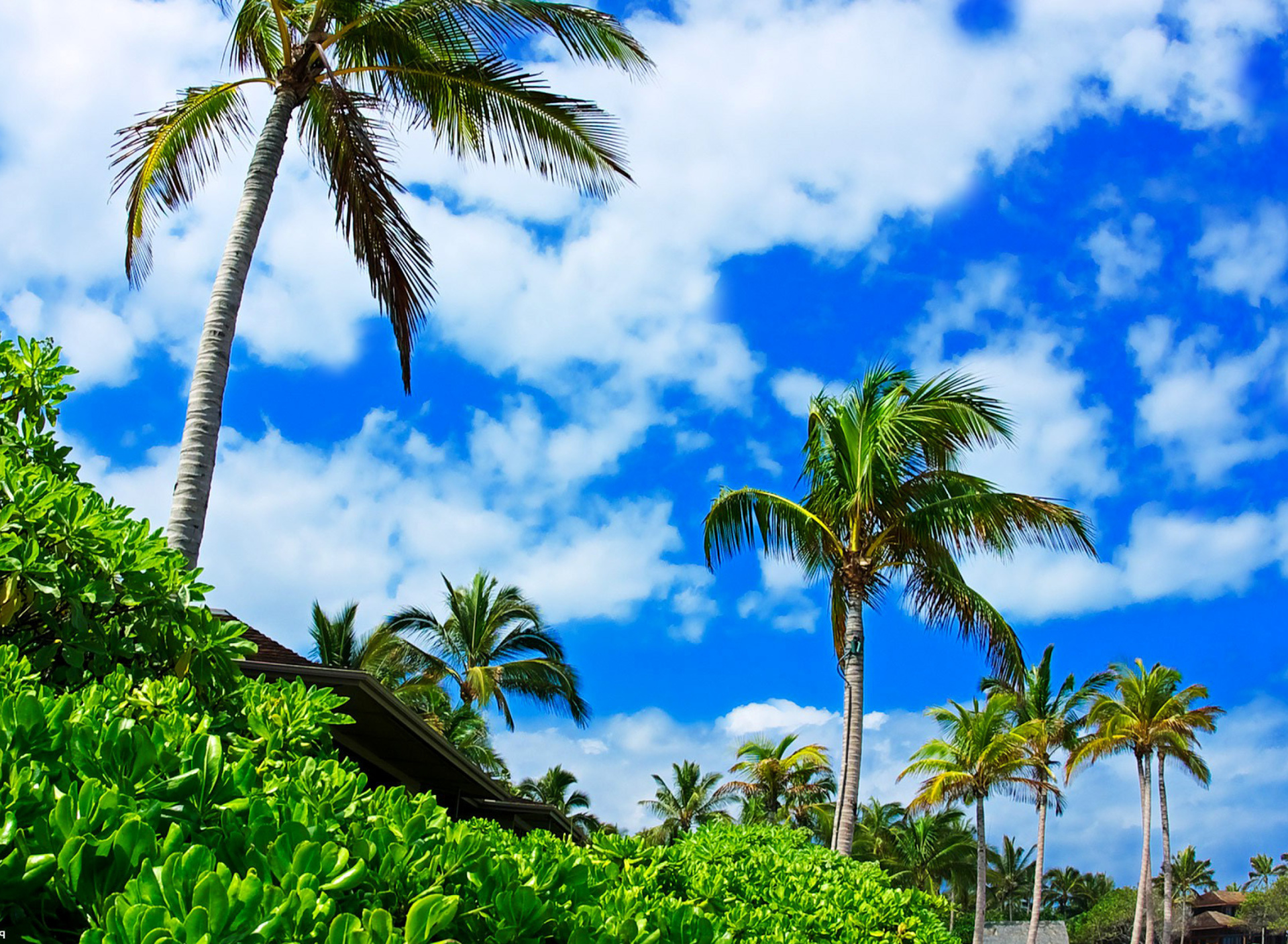 Sfondi Kenya Diani Beach 1920x1408