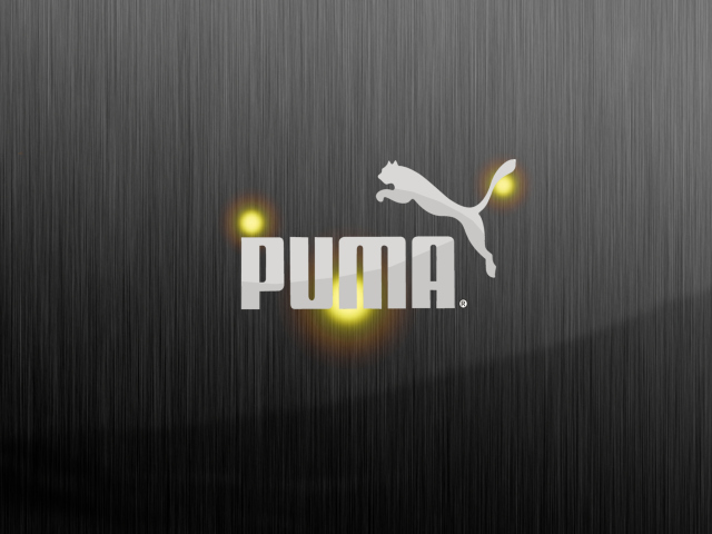 Puma wallpaper 640x480