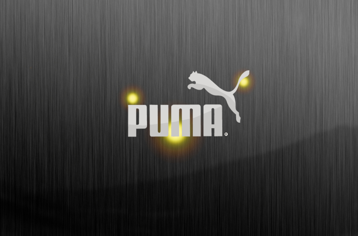 Screenshot №1 pro téma Puma