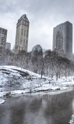 Обои Central park - Manhattan 240x400