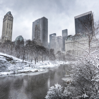 Central park - Manhattan - Obrázkek zdarma pro 1024x1024