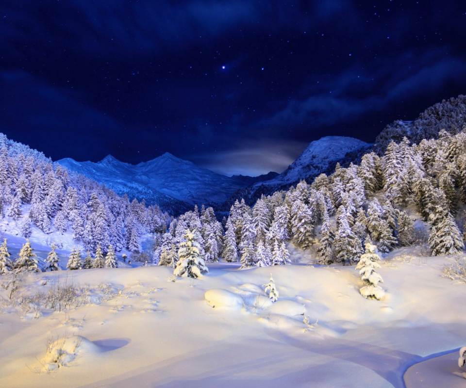 Forest In Winter screenshot #1 960x800