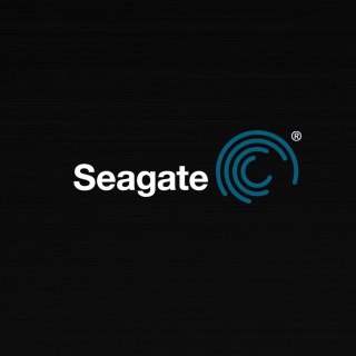 Kostenloses Seagate Logo Wallpaper für iPad 3