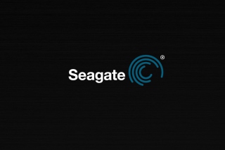 Seagate Logo - Obrázkek zdarma pro Desktop Netbook 1024x600