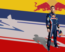 Fondo de pantalla Red Bull Racing 220x176