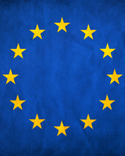 Sfondi EU European Union Flag 176x220