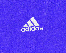 Screenshot №1 pro téma Adidas Blue Logo 220x176